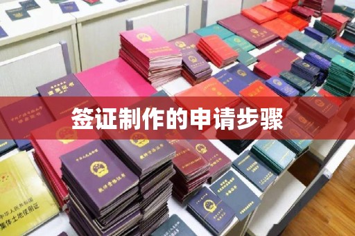 莺歌签证制作的申请步骤