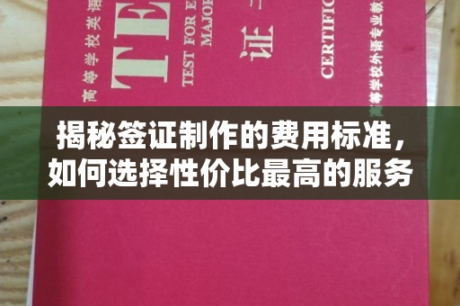 莺歌揭秘签证制作的费用标准，如何选择性价比最高的服务？
